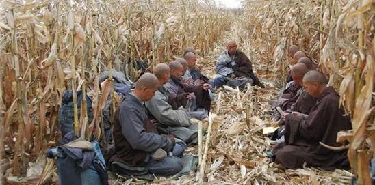 去当和尚的好处,出家的和尚是否会接触社会