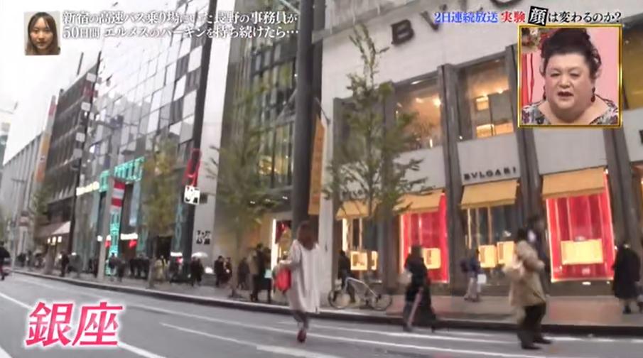 背铂金包,日本女生背帆布包