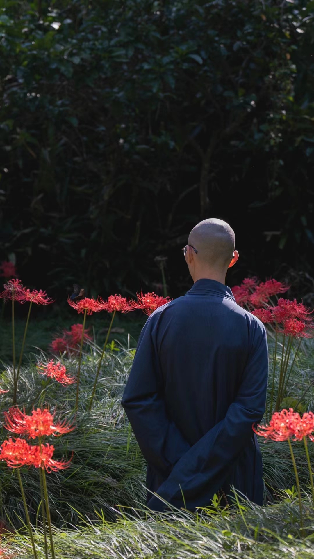 修行者的智慧与慈悲,修行者最好的状态