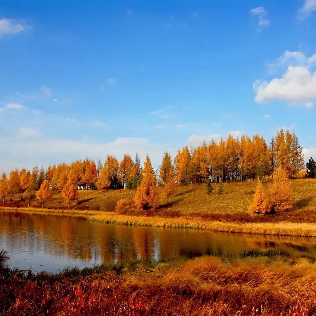 怎么才能在老家农村混下去,老实人如何在农村混得风生水起