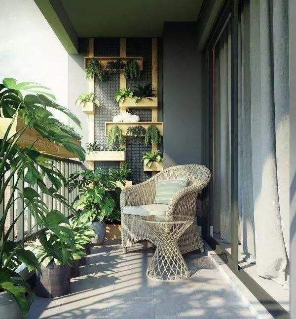 红杉树装修设计,深圳红杉树装修效果图大全