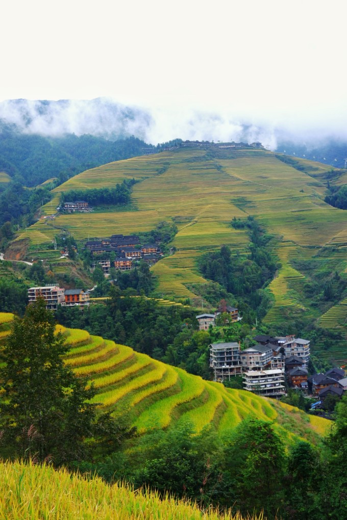广西梯田龙脊梯田,龙脊梯田世界一绝美不胜收