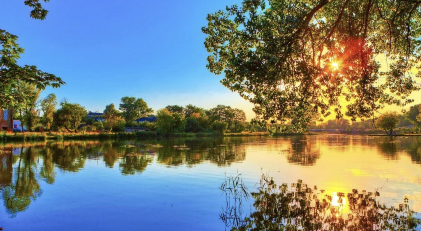 狮子座和其他星座的关系,如何跟狮子座相处感情会越来越好