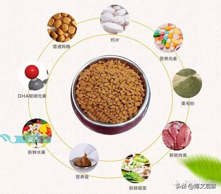 3元一斤的狗粮能吃,3元一斤的狗粮可靠吗