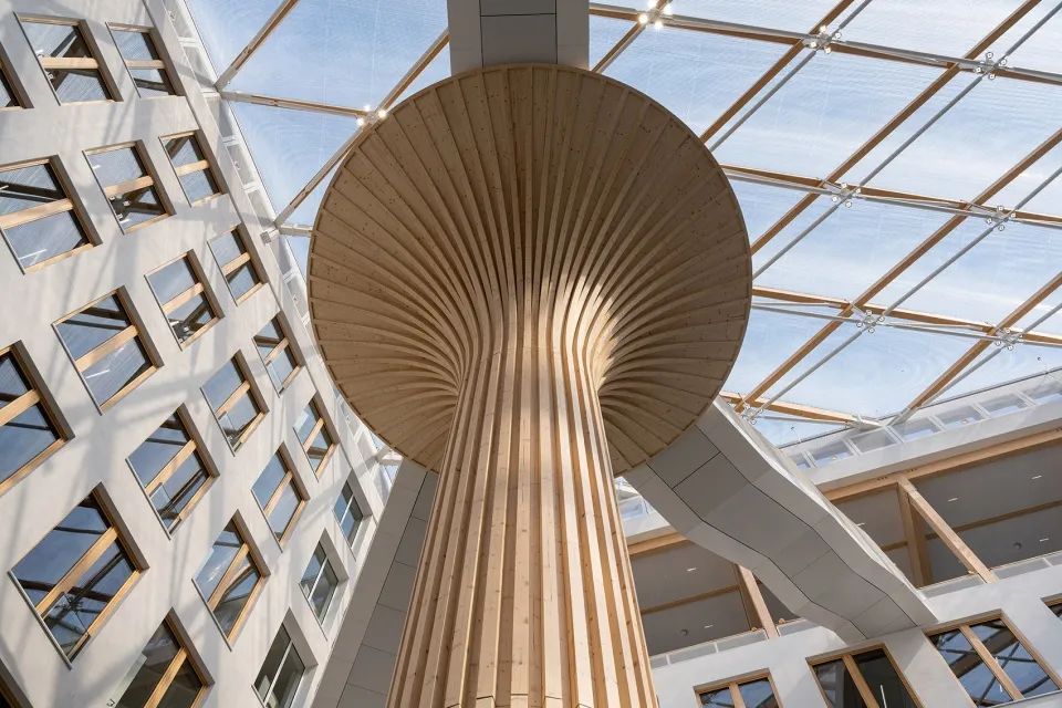 案例鉴赏|新建办公楼建筑设计节选