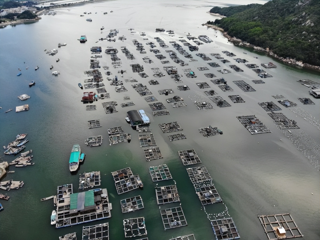 南澳岛旅游攻略最详细介绍,南澳岛怎么玩