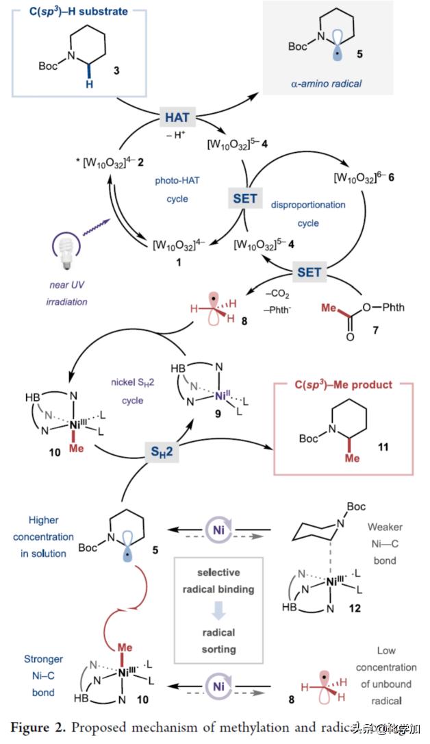 诺奖得主文章,诺奖得主成果有哪些