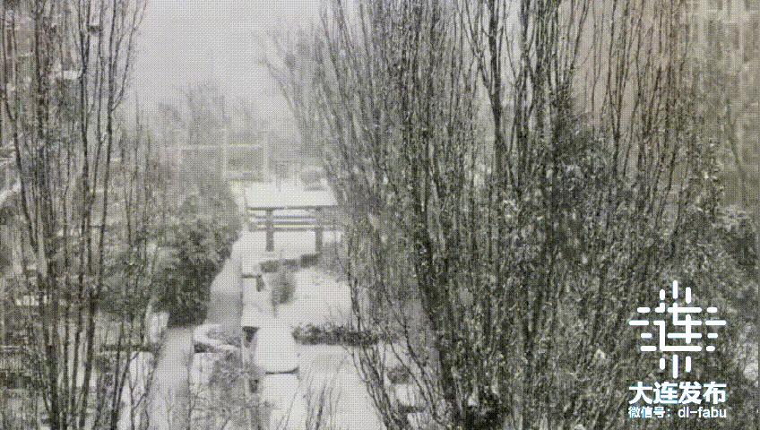 2021年大连最低气温,大连气象预报最新消息