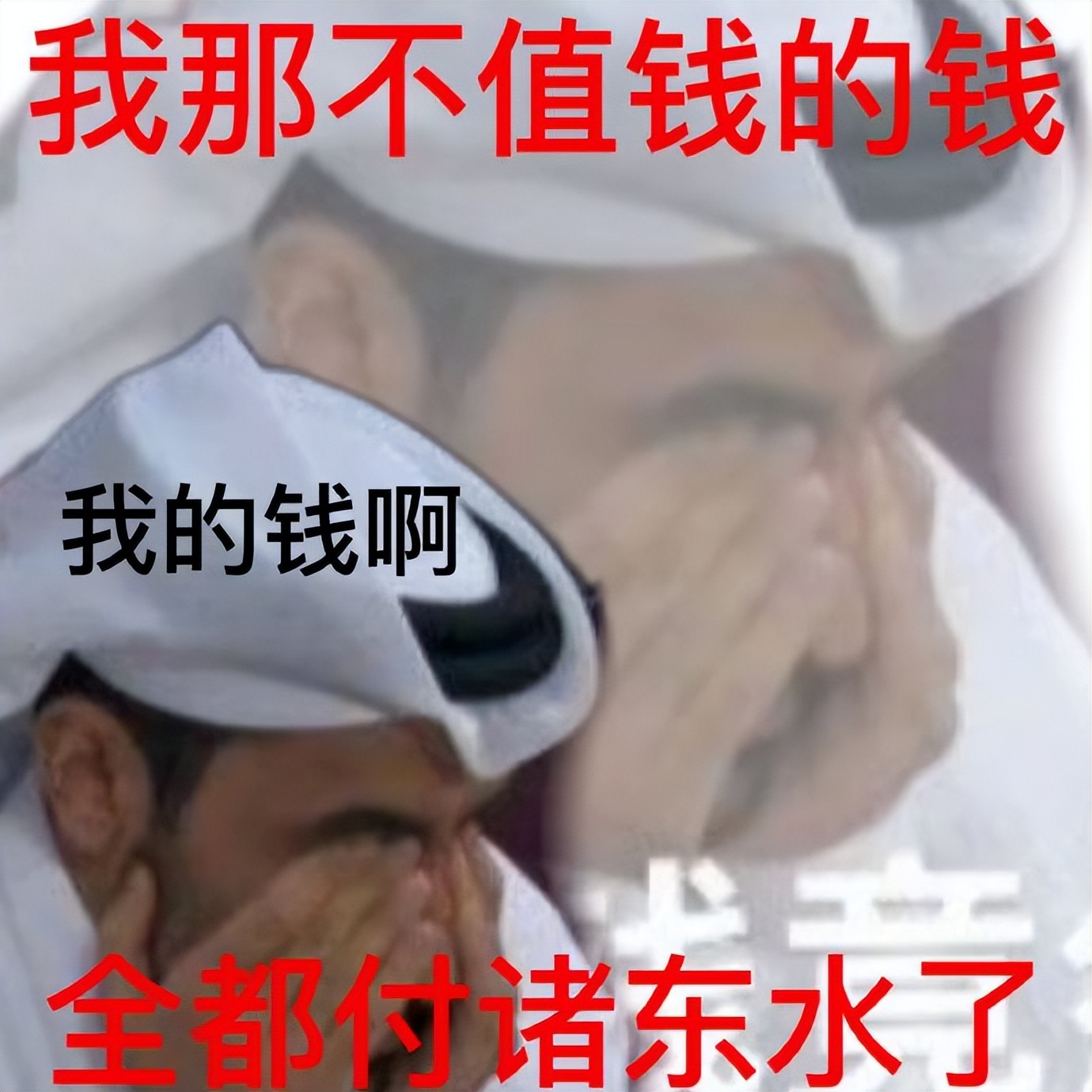 卡塔尔15岁小王子表情包,卡塔尔小王子气出表情包原视频