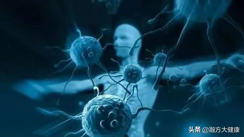 中草药鲜白芍长什么样,中草药炒白芍的功效