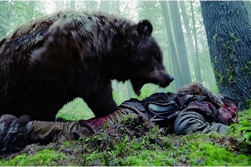 电影荒野猎人表达了什么,电影荒野猎人主要讲的什么