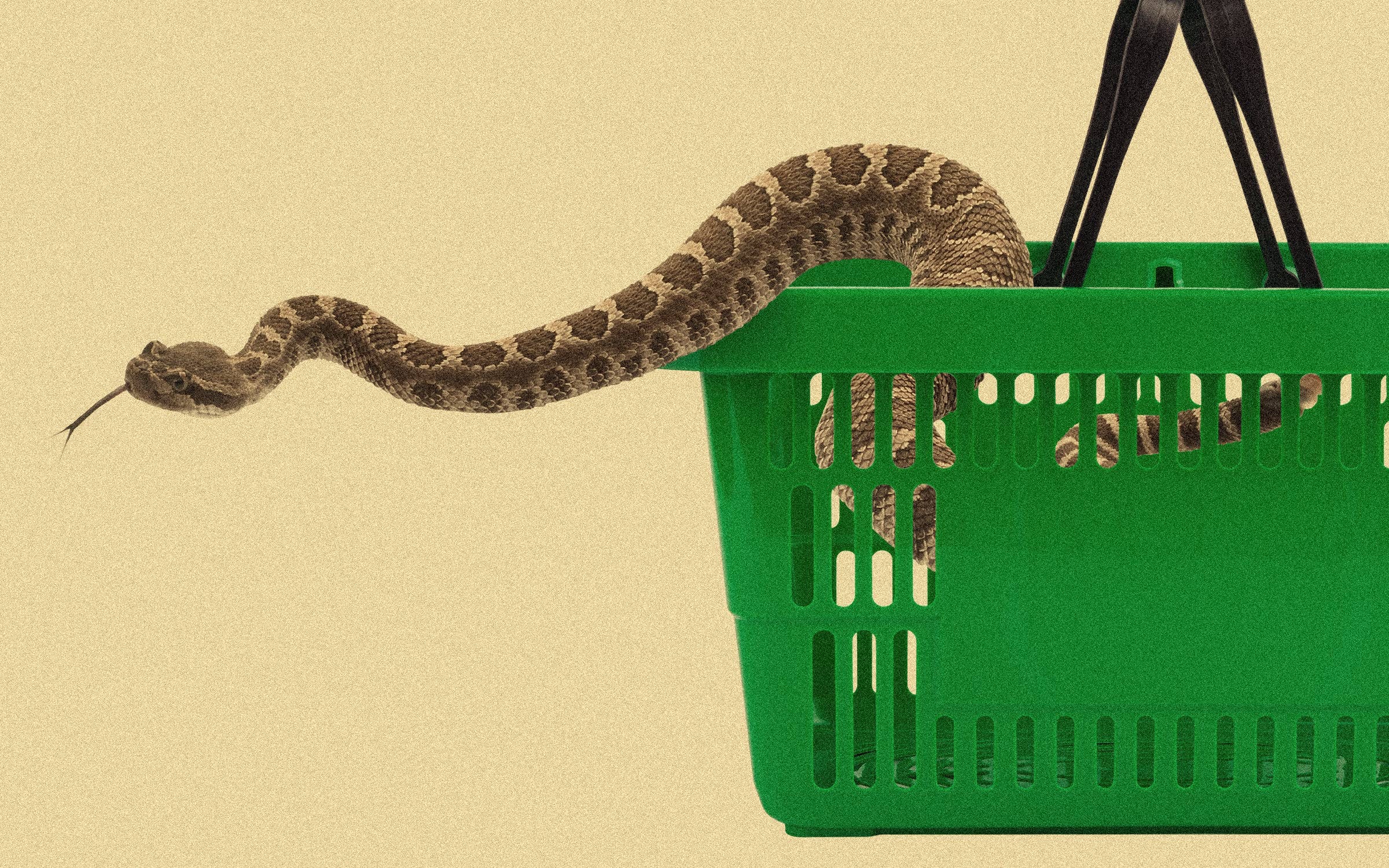 世界第一剧毒蛇,三角形的中国剧毒蛇