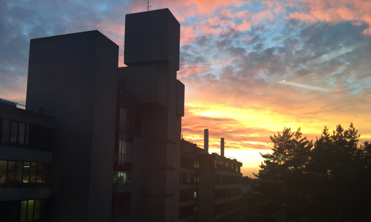 英国东英吉利大学怎么样,东英吉利大学世界大学