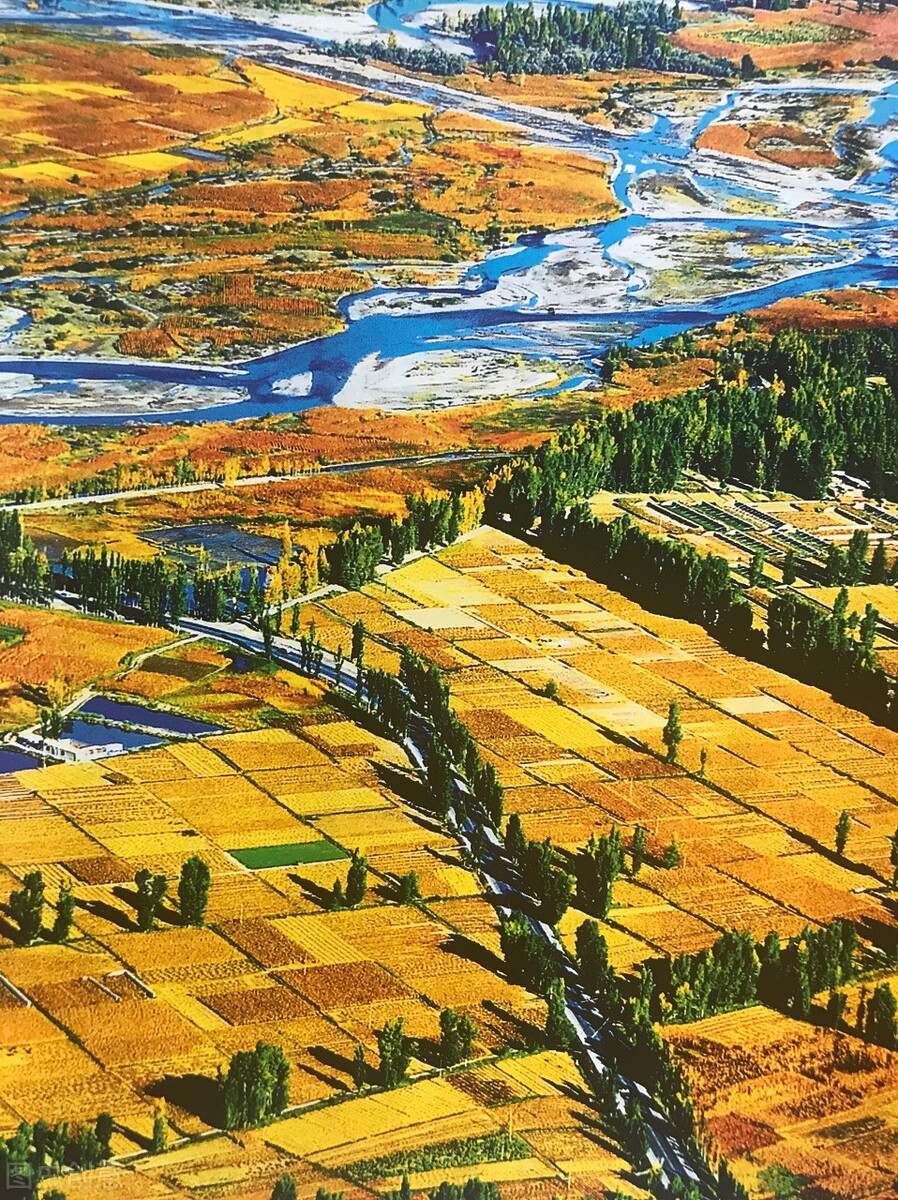 甘肃这边的水果,甘肃的水果少吗