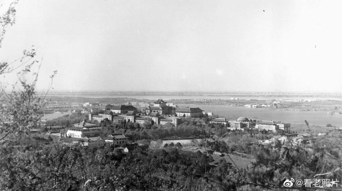 老日军女兵老照片,女子身着日本侵华军装露脸
