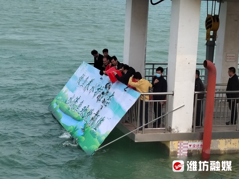 25万尾鱼苗放黄河,放鱼养水之济南雪野湖水库