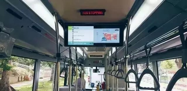 在新加坡生活两年有什么变化,新加坡的真实生活感受