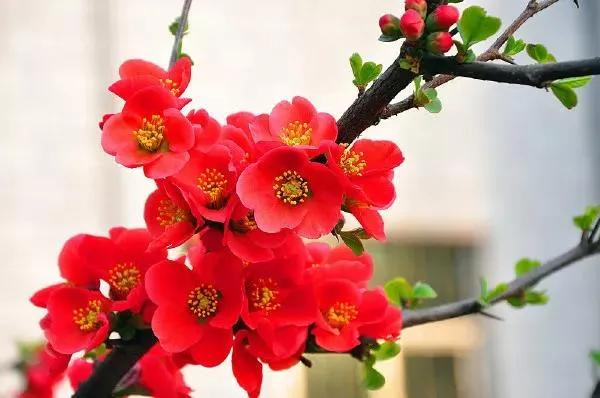 面相中的气色和命运,气色与命运