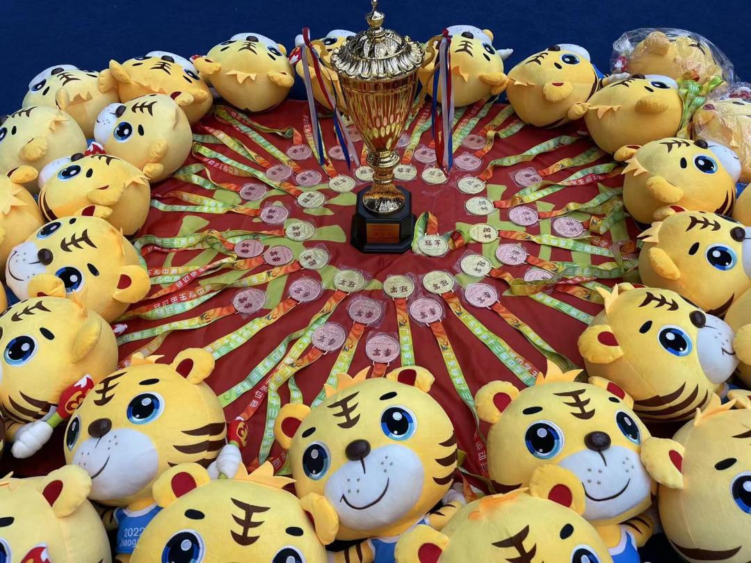 点赞队比赛结果,点赞比赛冠军