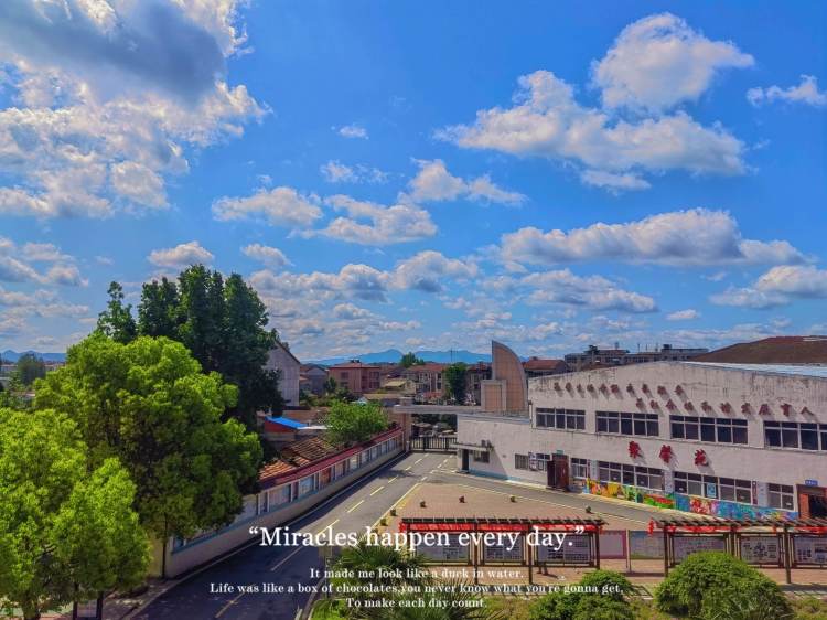 教联体学校活动,教联体举办活动