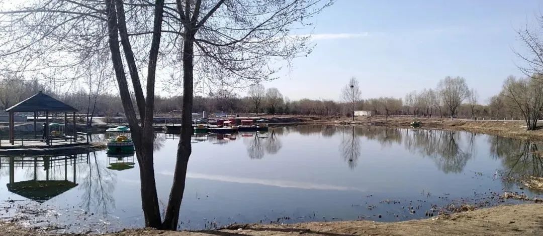 原创|2022迟到的春天之约