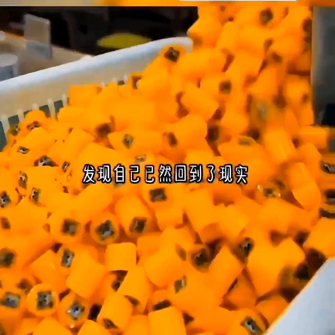 完结甜宠小说破镜重圆,女主呆萌人设的宠溺小说