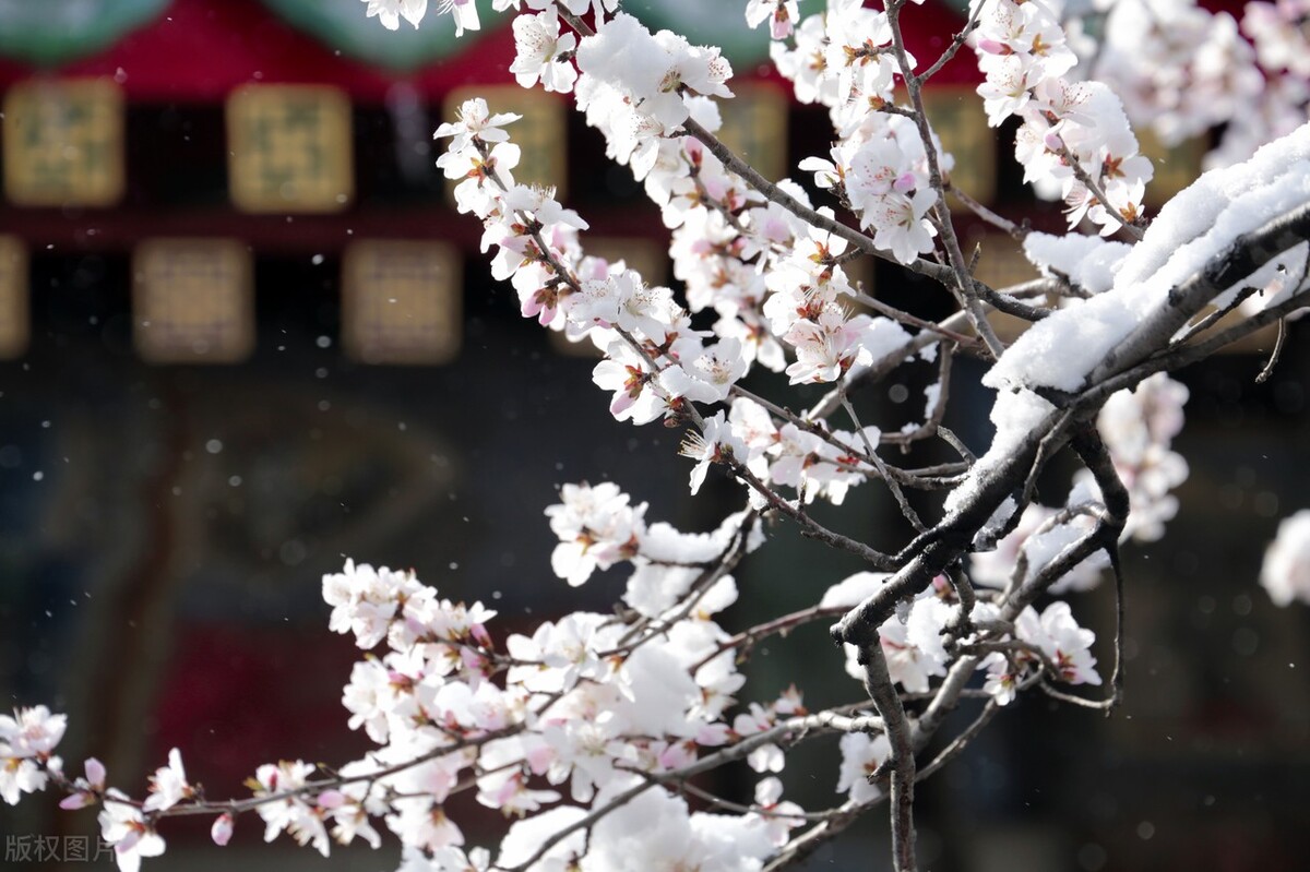 不同月份有什么别称,一到十二月每个月的别称