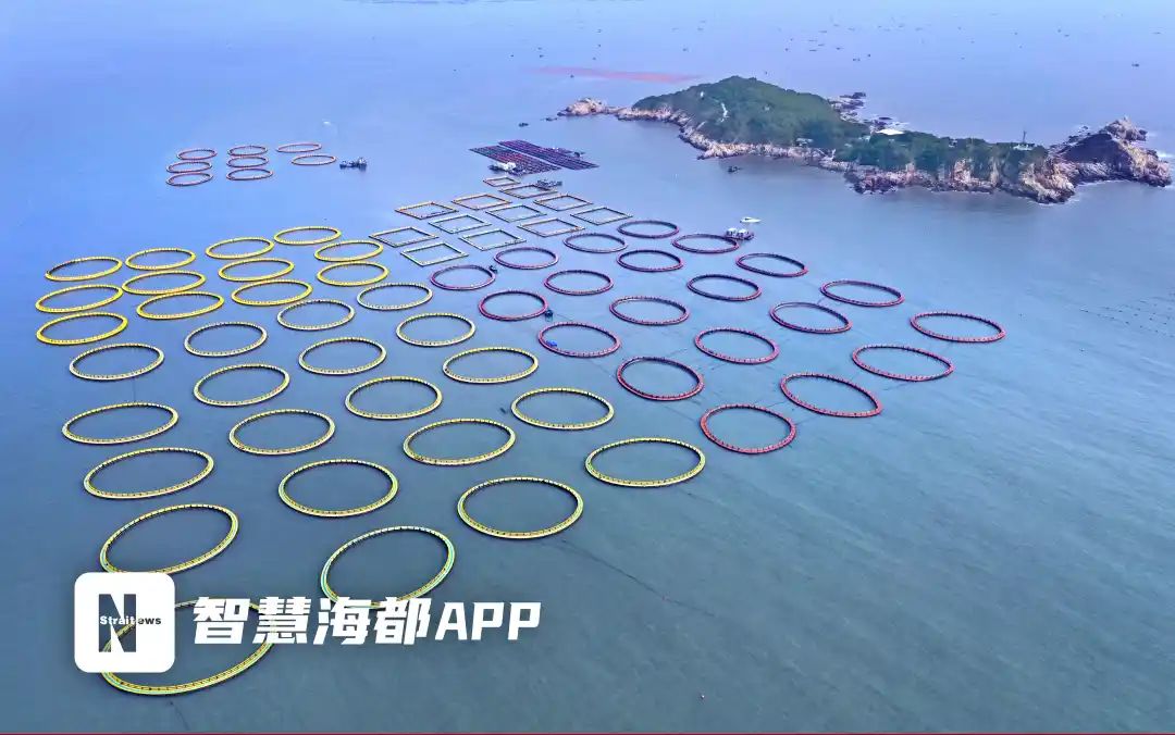 定了！马上开始！