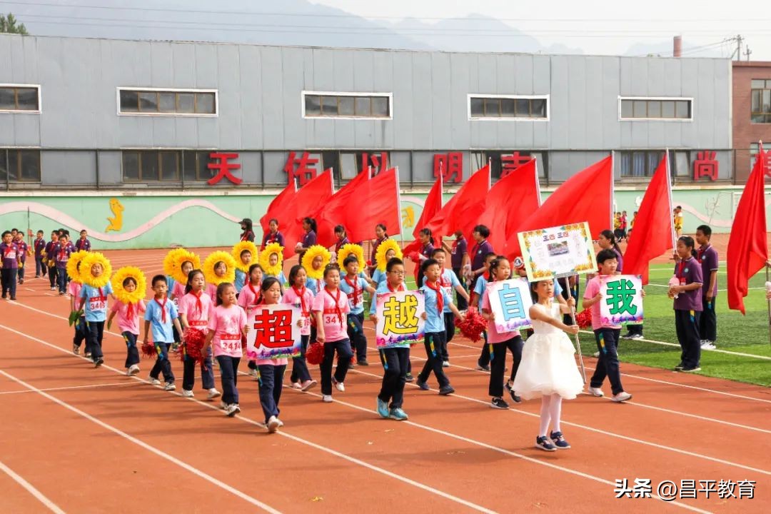 校园竞技体育的魅力,校园青春比赛