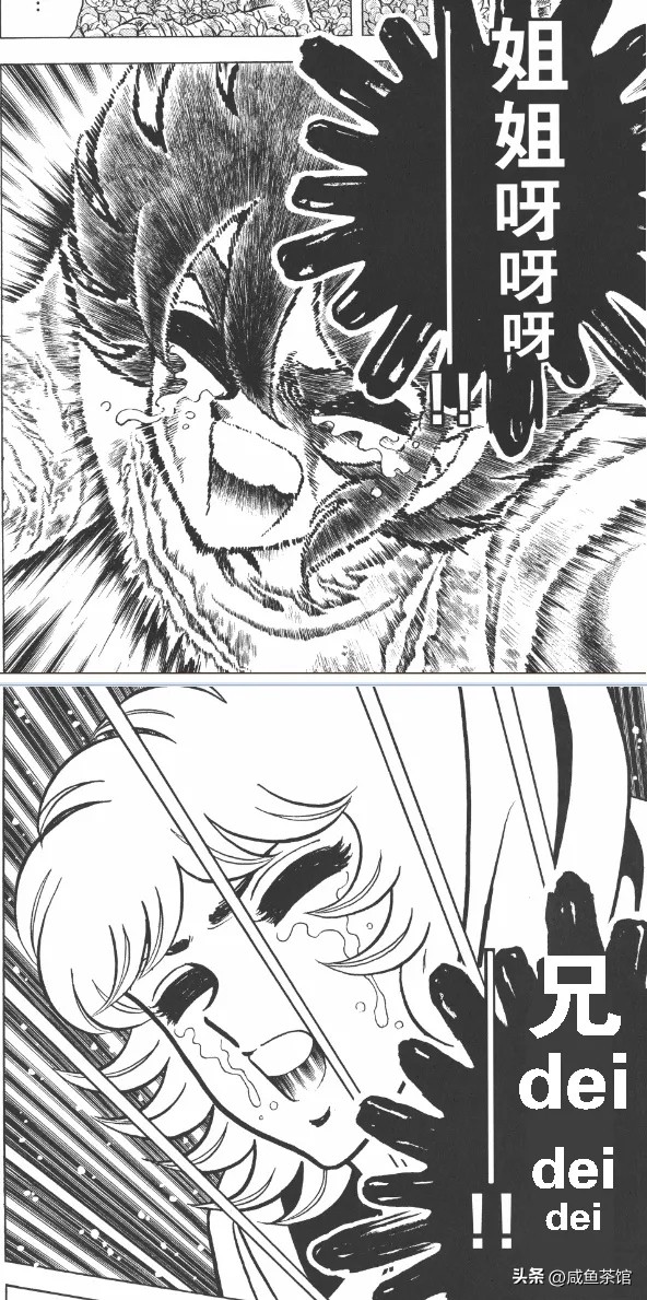 圣斗士青铜五小强打架,圣斗士青铜五小强完整版