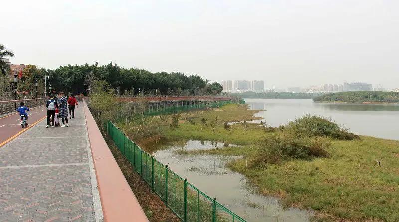 深圳宝安立新湖公园介绍,宝安福永立新湖公园