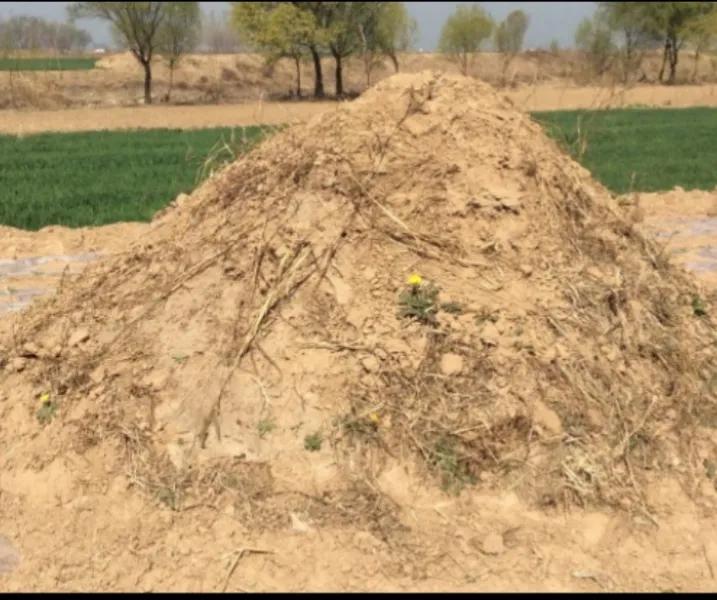 房坟相望的说法,住宅子孙不旺是怎么回事