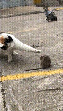 论一个人情商,论一个人能有多悲伤