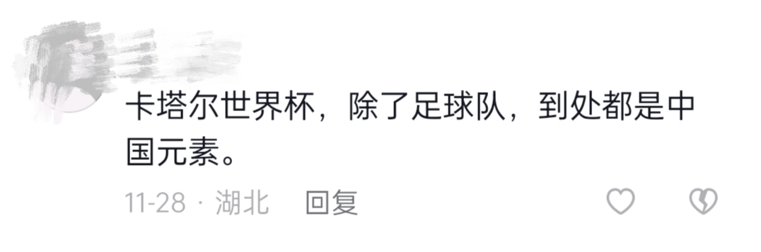 世界杯护旗手,2022年世界杯护旗手