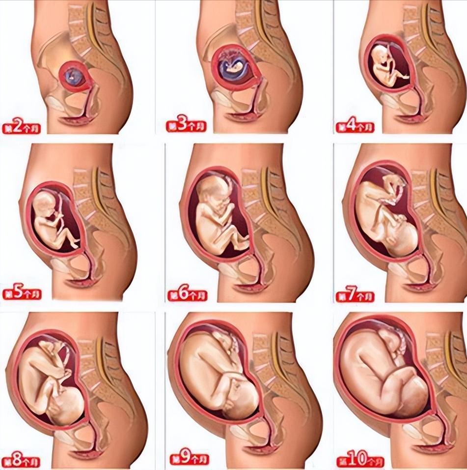 第一次接触乙肝患者要注意什么,第一次来越南医院