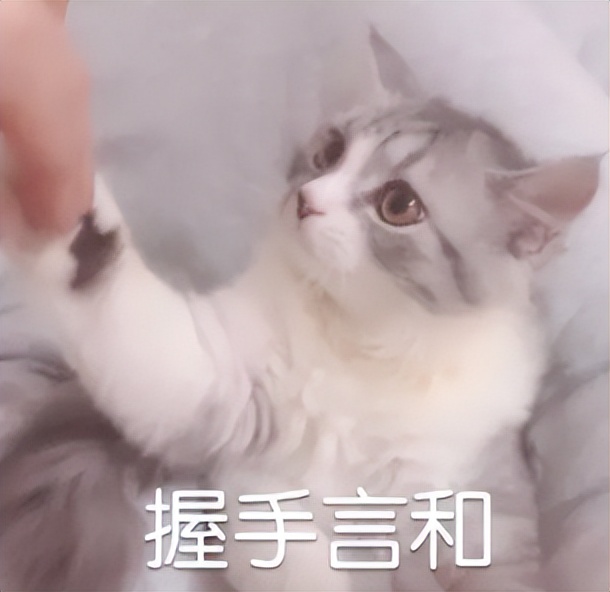 你以为你养的中华田园猫,家里养了中华田园猫