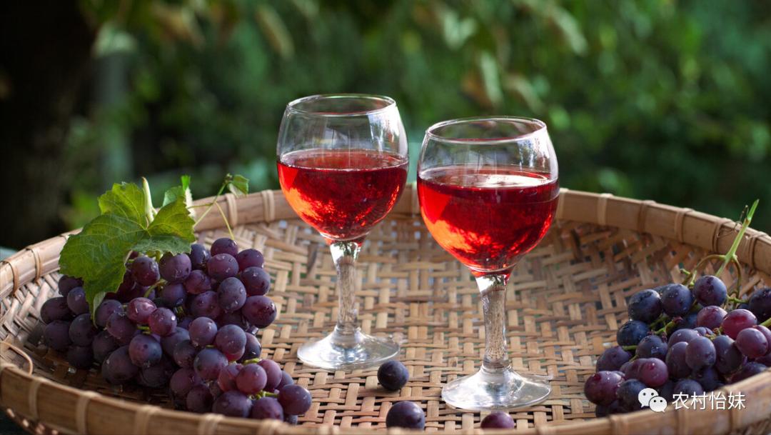 2023年农村最赚钱的行业有哪些,2023年农民最赚钱的行业