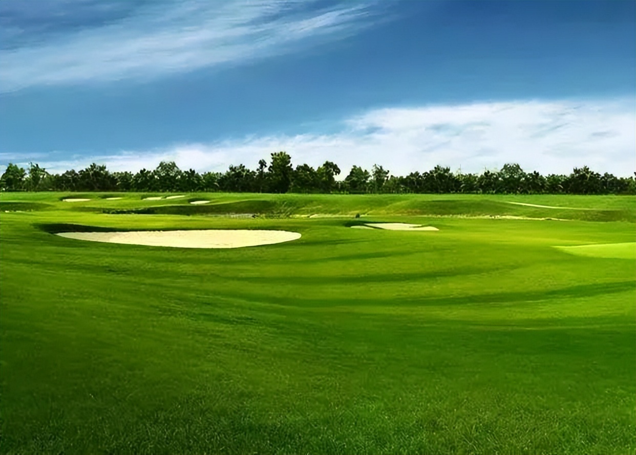 一个橄榄球球场,欧洲最有气氛的球场