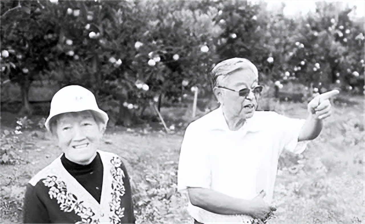 褚时健褐色红塔山多少钱一包,红塔山新品香烟褚氏经典