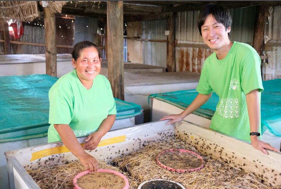 日本蟋蟀巧克力发售！早稻田大学宣布量产