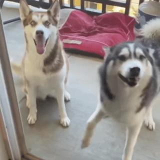 宽带怎么装省钱,安哪家宽带省钱