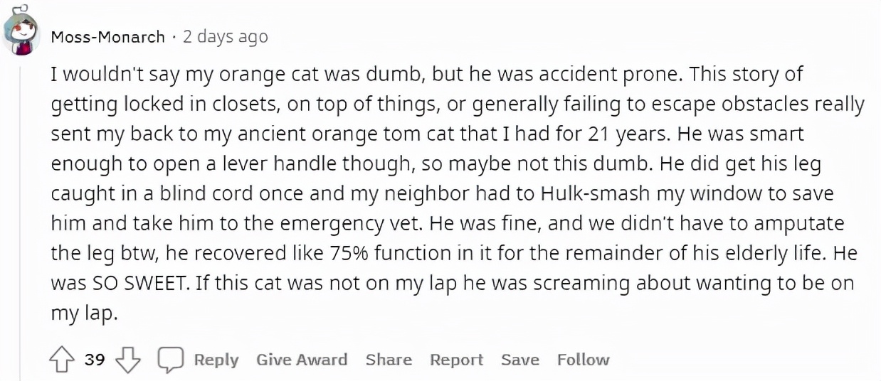 澶栧浗灏忓摜鍚愭Ы濂崇敓,澶栧浗灏忓摜鍚愭Ы宸ヤ綔