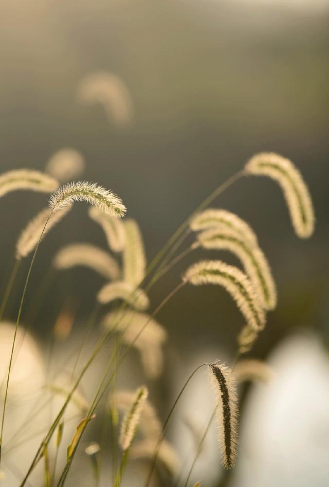 我不是天生强大而是天生要强,没有人天生就比谁更聪明