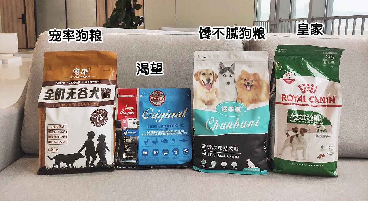 狗狗的体温是38.8算不算发烧,电额温枪怎么给狗狗测量体温