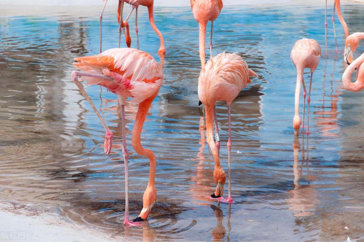 喜欢美景去哪玩,喜欢海边美景释放心情