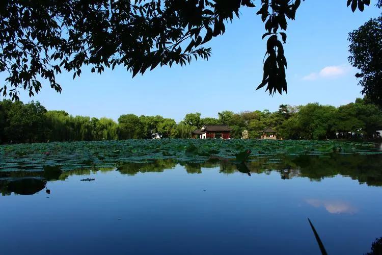 杭州西湖桂花美景,杭州西湖美景视频