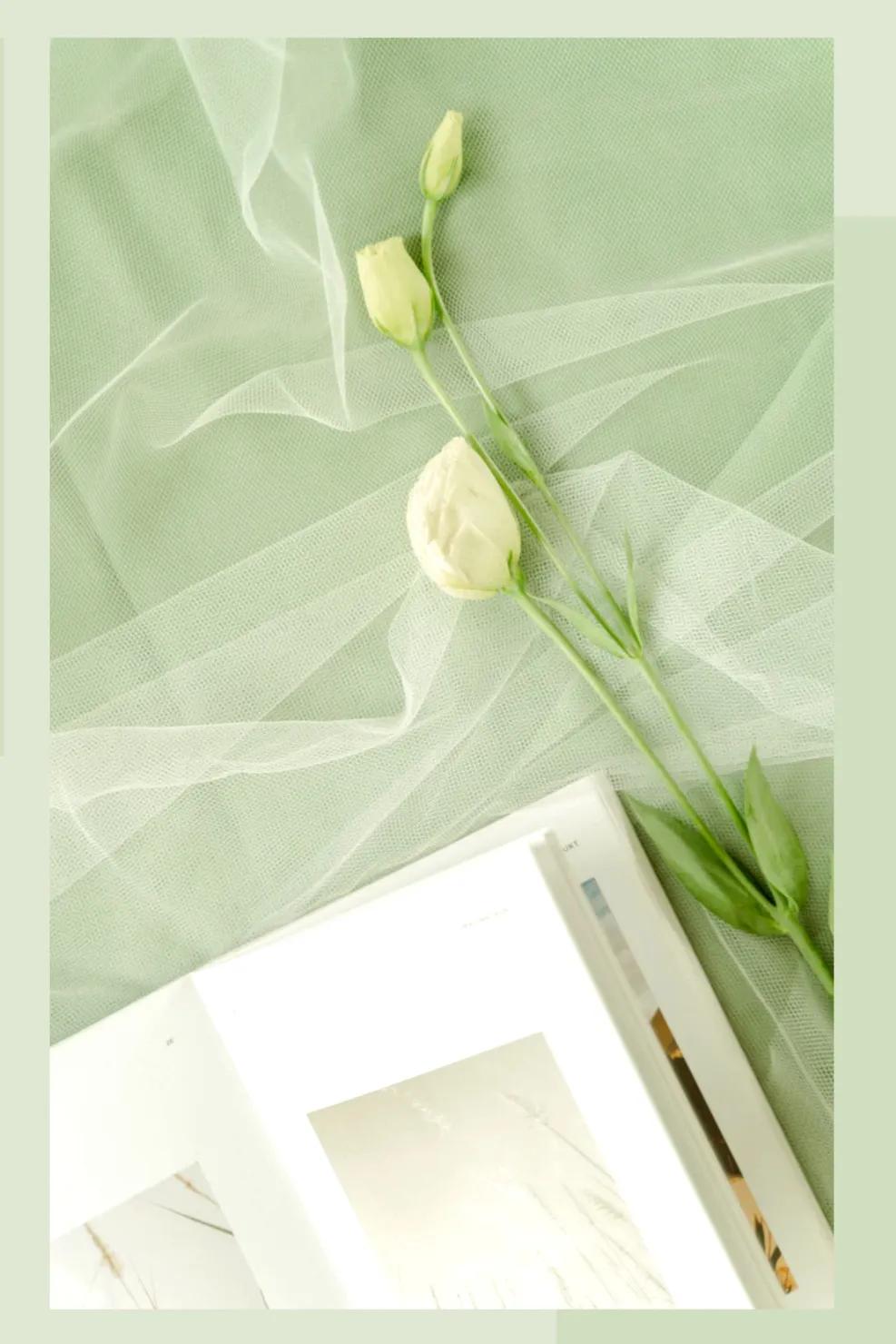 细分领域是怎么赚钱的,垂直细分领域赚钱案例