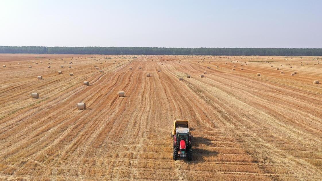 农村隐藏的暴利行业,美国暴利行业