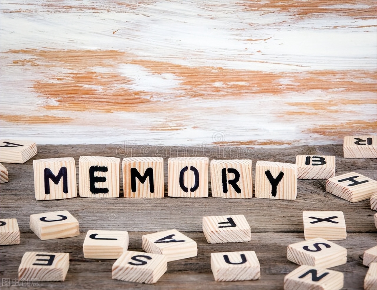 《积极的偏见》：你理解世界的速度，可以大于世界变化的速度