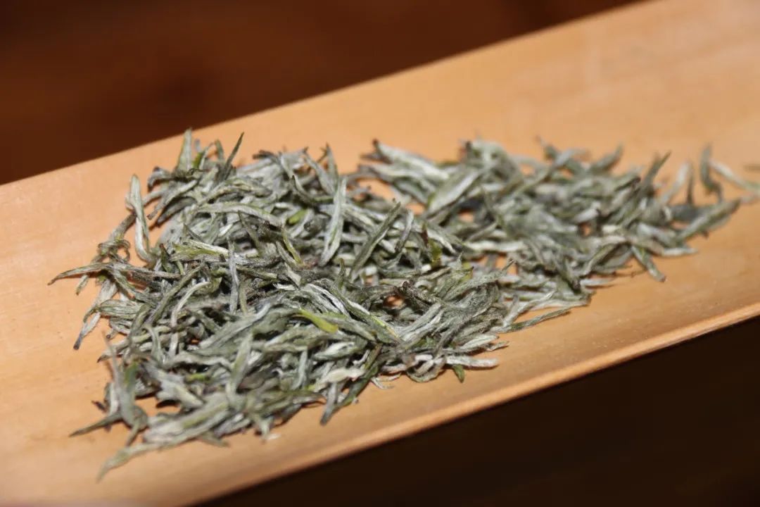 2023年新春茶价格,2023年春茶会涨价吗